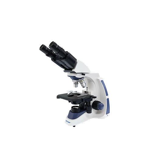 laberinto equilibrio para castigar Microscopio Binocular Básico | ProlabQ Guatemala